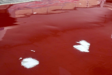 TẠI SAO SÀN PU MORTAR ĐƯỢC SỬ DỤNG PHỔ BIẾN TRONG NGÀNH THỰC PHẨM?